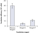 High Transfection Efficiencies Using Effectene Reagent 