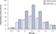 Serum and DNA Quantity vs. Transfection