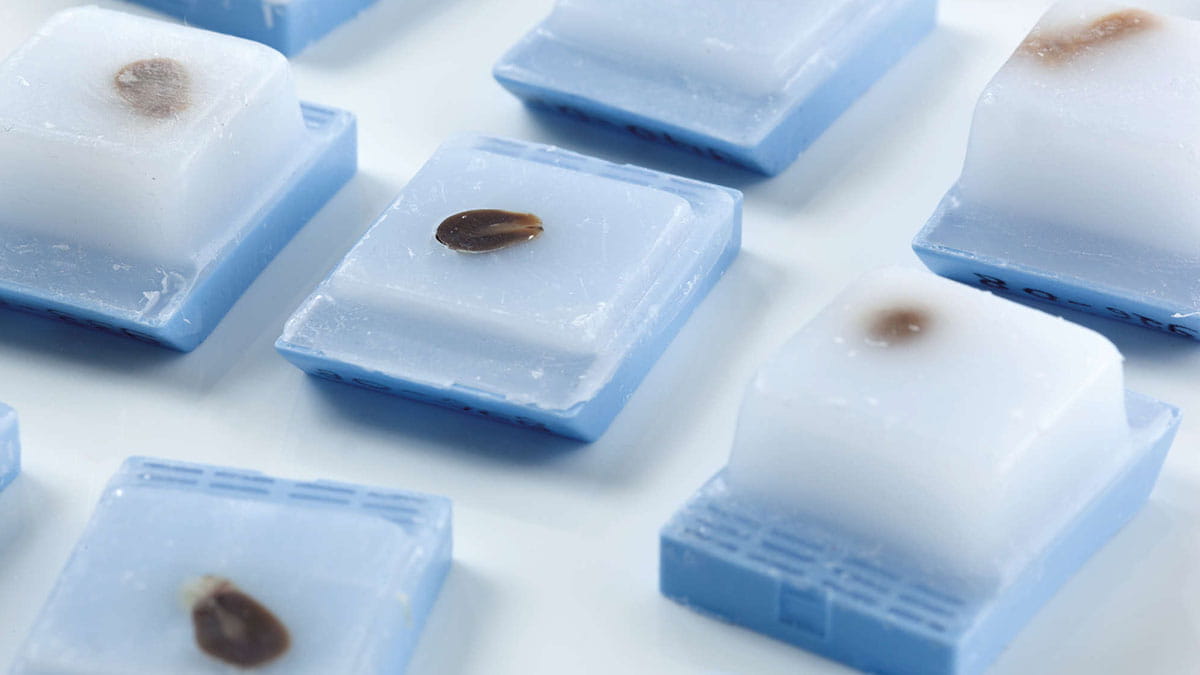 QIAseq RNA-seq solutions