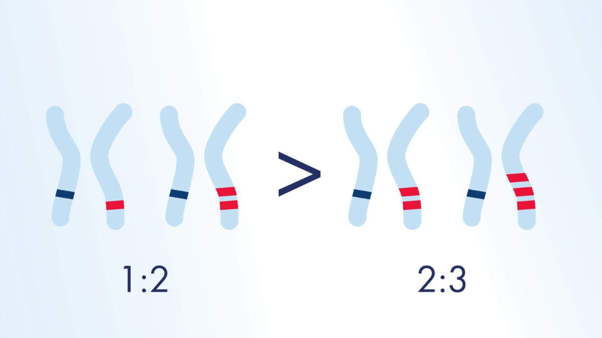 dPCR Applications Copy Variation