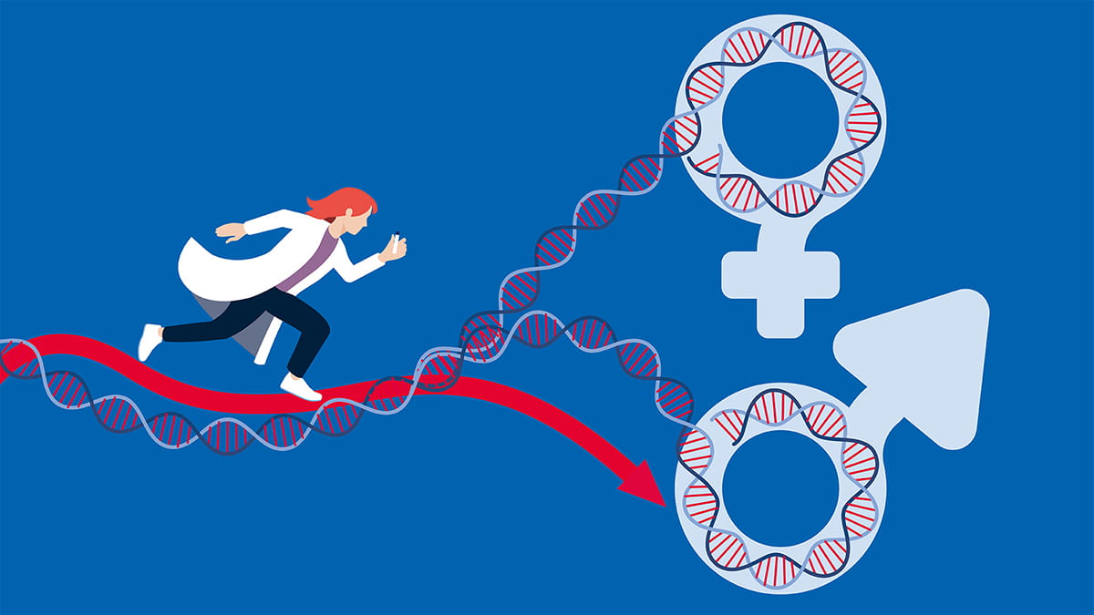 An illustration of a female scientist, running on a thread of DNA that divides into two separate lines, symbolizing female and male dna. The direction of the scientist is shown to be pointing at male dna