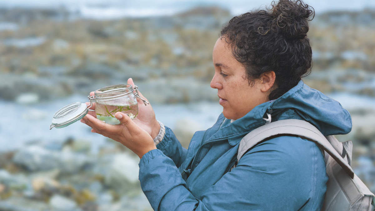 A woman interested in marine biology studies a jar containing a rock pool sample, Environmental and agricultural research, Microbiome, Foundation, Sample Technologies