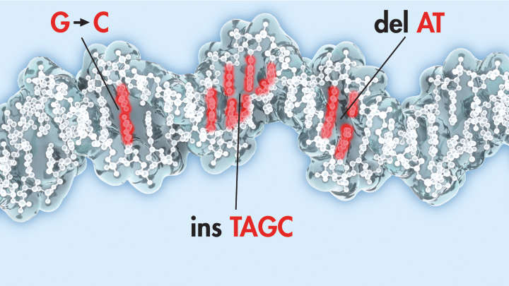 Next-generation sequencing