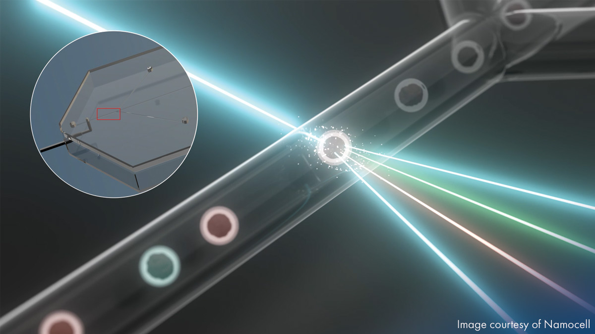 single cell teaser image