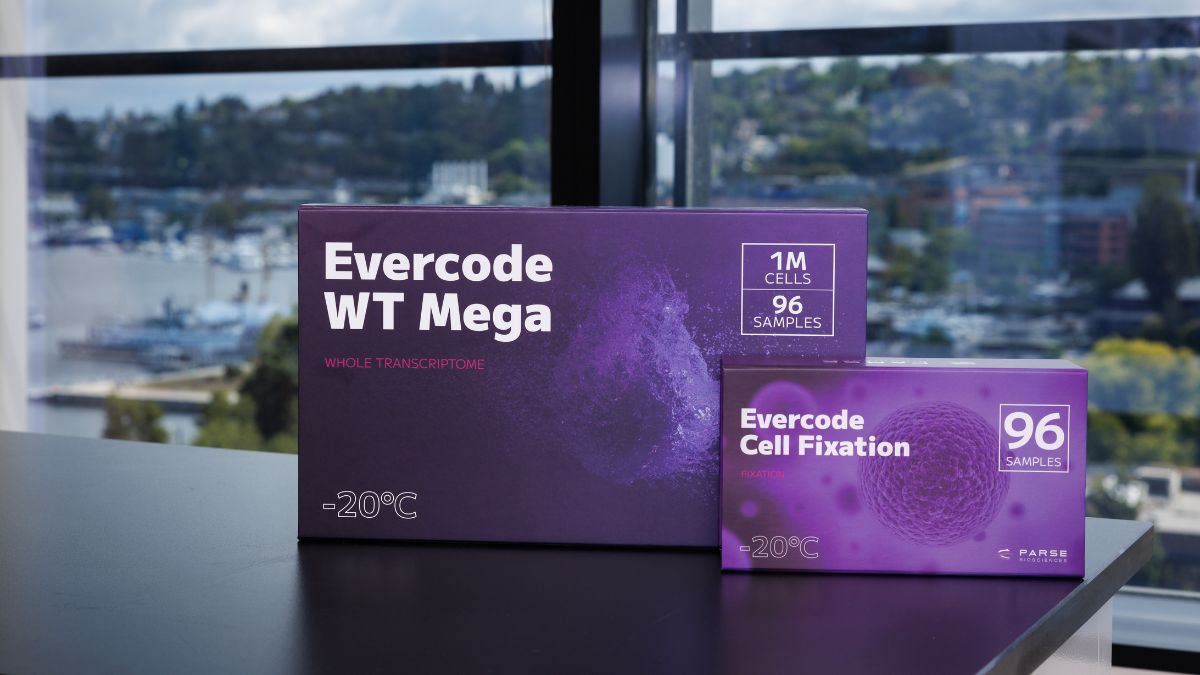 Evercode WT Mega