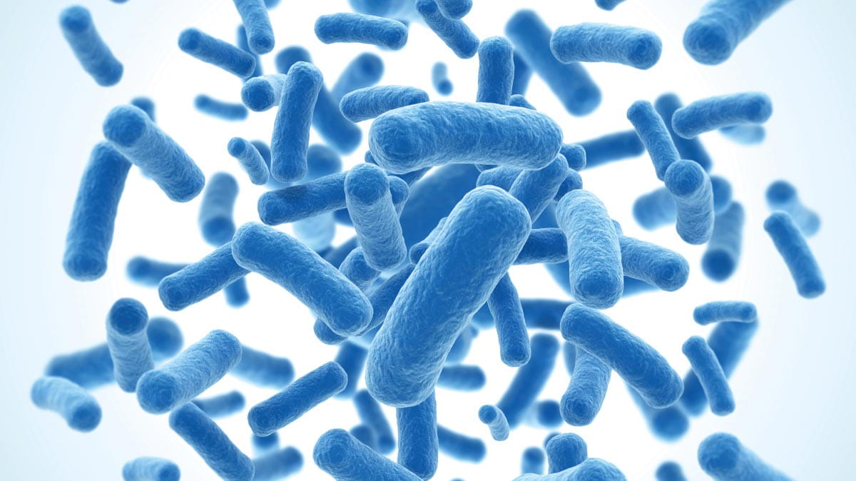 Microbial gDNA isolation