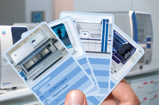 product cards