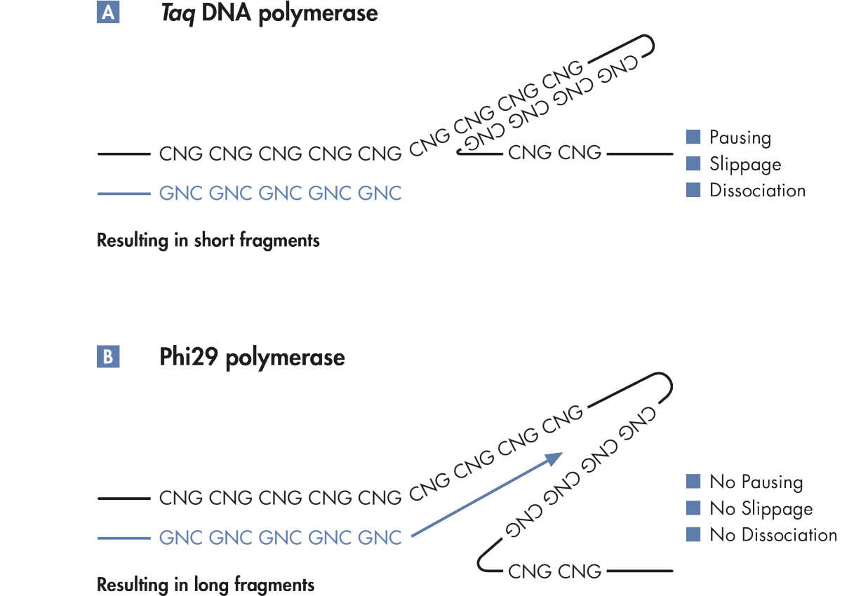 Overview on Whole Genome Amplification