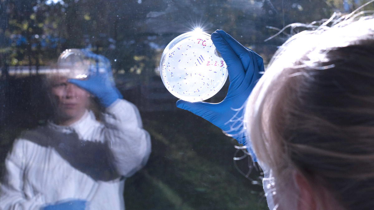 Detecting microbial contamination