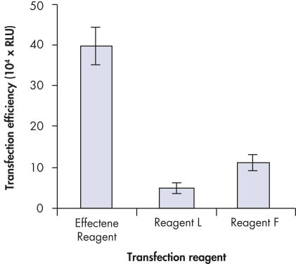 High transfection efficiencies using Effectene Reagent.