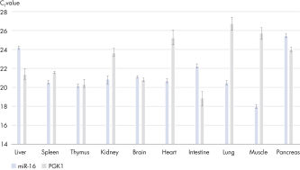 K.KAZUページ miRNeasy Kits | microRNA Purification Kits | QIAGEN