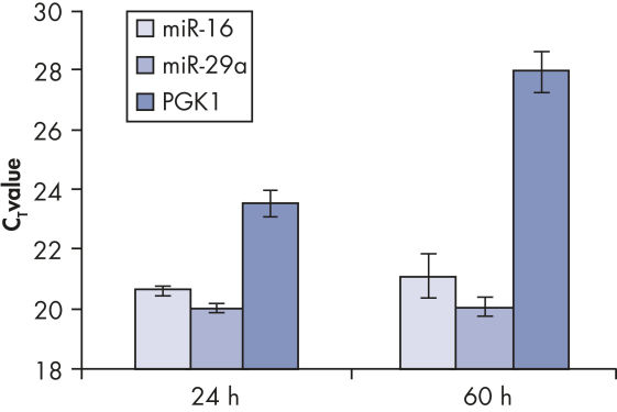 miRNeasy FFPE Kit | FFPE Tissue microRNA Extraction | QIAGEN