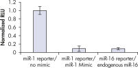 Comparable downregulation by endogenous miRNA and miScript miRNA Mimic.
