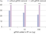 Efficient removal of contaminating gDNA ensures precise quantification of transcripts.