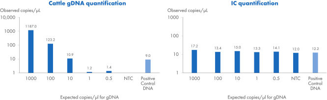 Detection and absolute quantification of cattle DNA with the QIAcuity mericon Cattle Kit