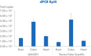 dPCR amplification of DNA extracted from tissue samples