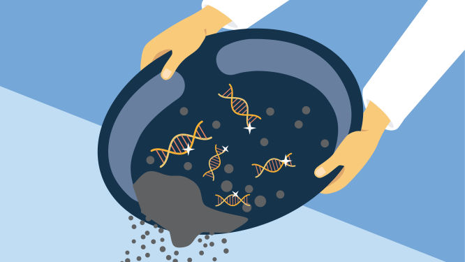 Mastering GeneGlobe's Search Functions