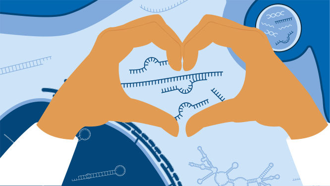 miRNA resource center