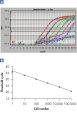 High-quality RNA for sensitive analysis of a low-copy transcript.