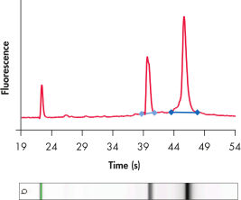 Leeee…出品 QIAzol Lysis Reagent
