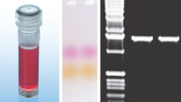 CoralLoad Concentrate for convenient gel loading of DNA