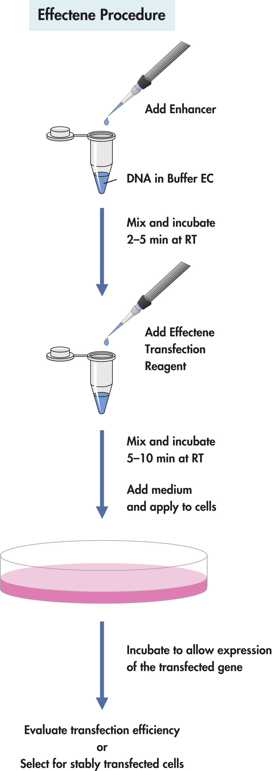 QIAGEN Buffers and Reagents, Molecular Biology Buffers