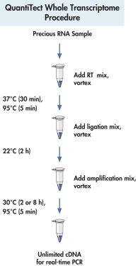 QuantiTect Whole Transcriptome Kit