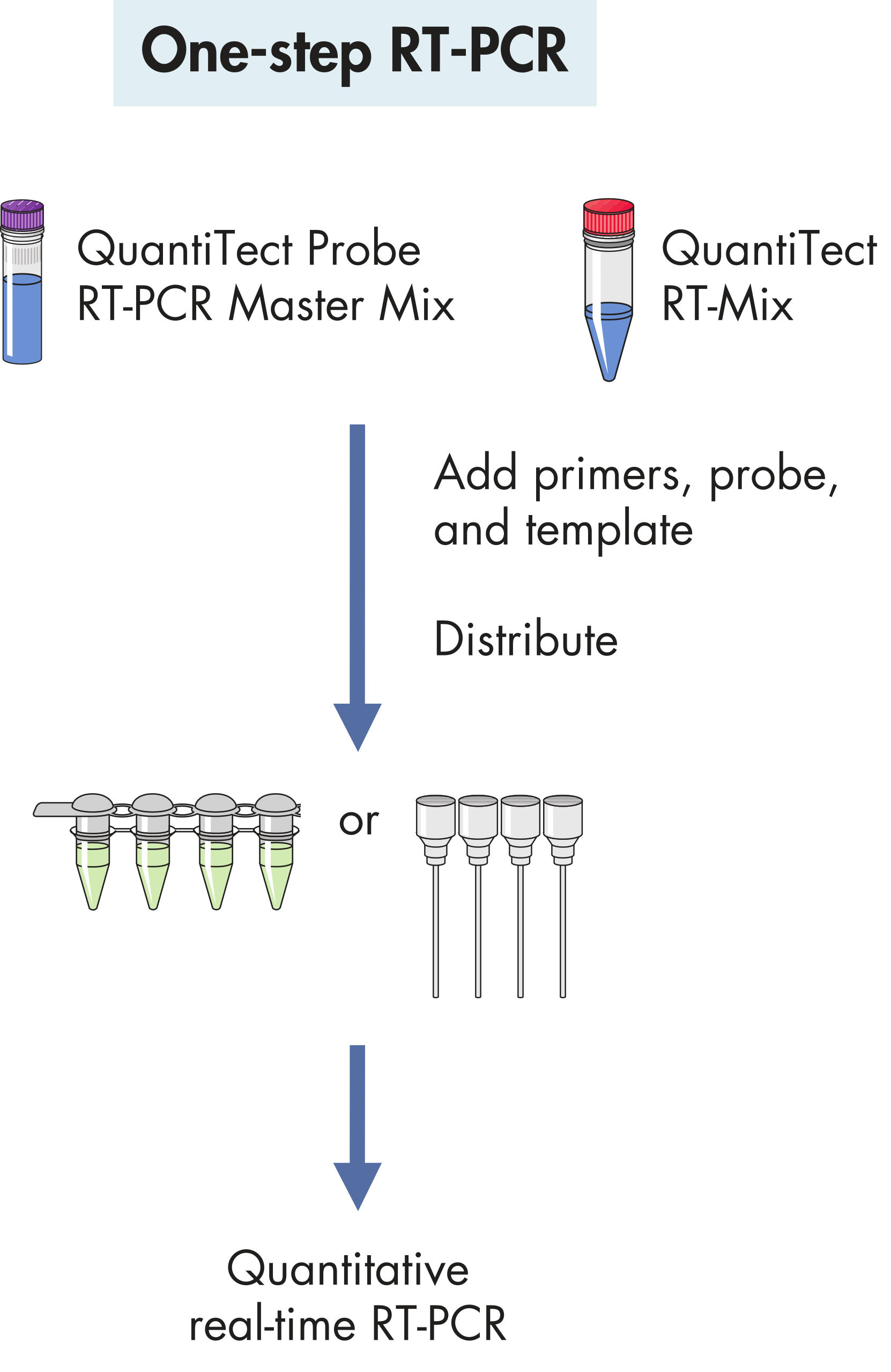 sammensmeltning Kælder nederdel QuantiTect RT-PCR Kits