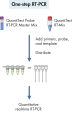 One-step RT-PCR using sequence-specific probes.