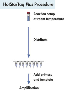 HotStarTaq Plus DNA Polymerase