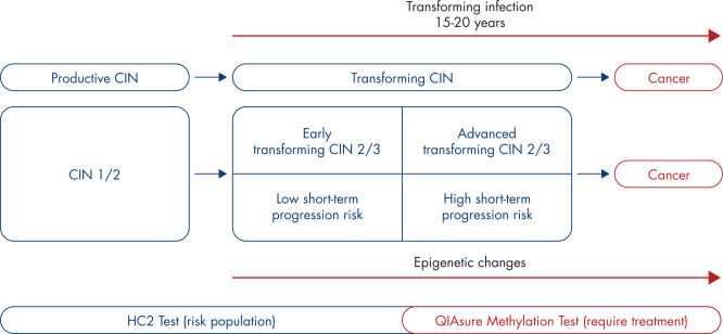 Heterogeneity seen in CIN and associated risk of disease progression to CIN 3+ and carcinogenic cells