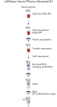 なか確認ページ miRNeasy Serum/Plasma Advanced Kit