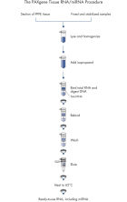 PAXgene Tissue miRNA Kit