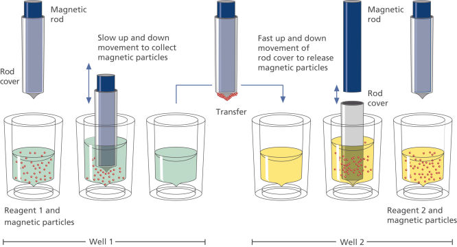 Figure 1. QIAsymphony Connect workflow using magnetic particles