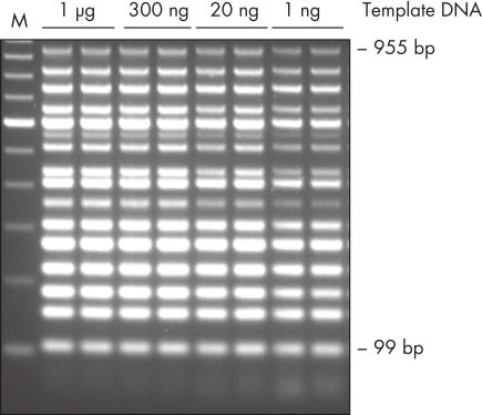 2_15_IntroductionImage.jpg