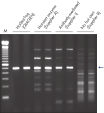 G_0192_PCR