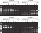 G_0195_PCR