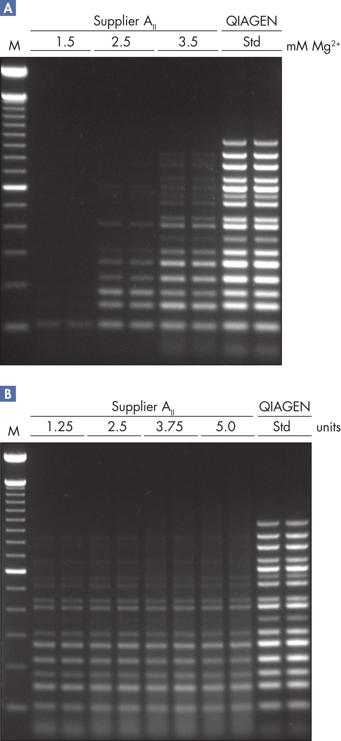 Multiplex Real Time Pcr Master Mix - Design Talk
