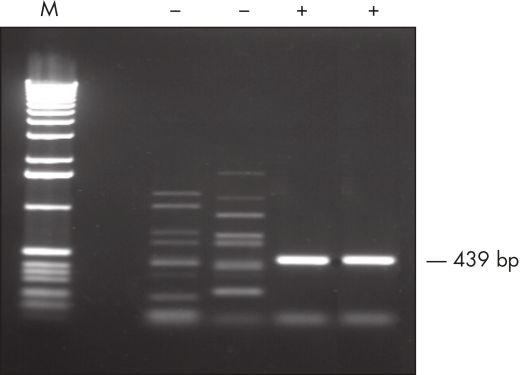2_15_IntroductionImage.jpg
