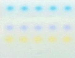 専用品 GT Ignition Coil NEW 029700-6021 Fits For Suzuki Samurai