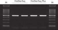 Highly sensitive single-cell PCR.