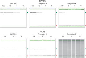 QIAGEN OneStep Ahead RT-PCR Kit