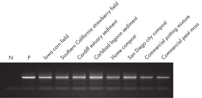 2_15_IntroductionImage.jpg