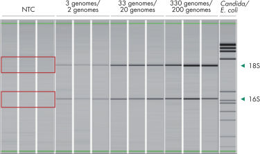 3_10_PanoramaImage.jpg