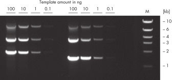 UltraRun LongRange PCR Kit