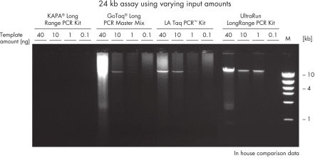 UltraRun LongRange PCR Kit