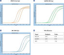 Comparable results in triplex and singleplex PCR.