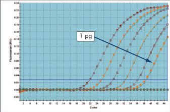 QuantiTect PCR Kits