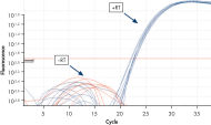 Successful real-time RT-PCR analysis.