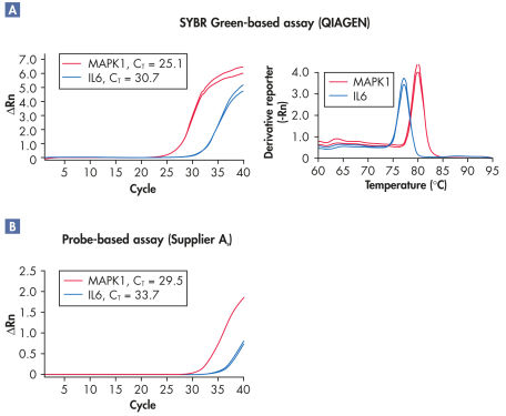 Superior sensitivity in real-time RT-PCR.